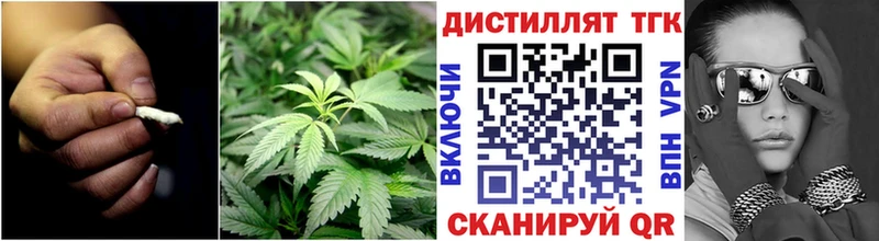 ТГК концентрат  Североморск 