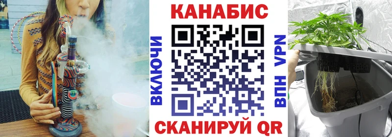 Шишки марихуана сатива Североморск
